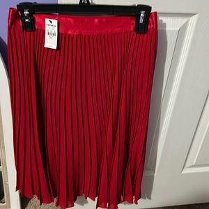 Express skirt small